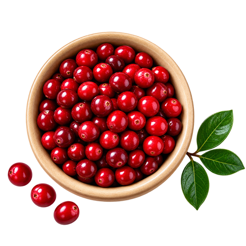 Anardana