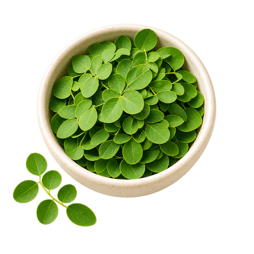 Moringa Leaf