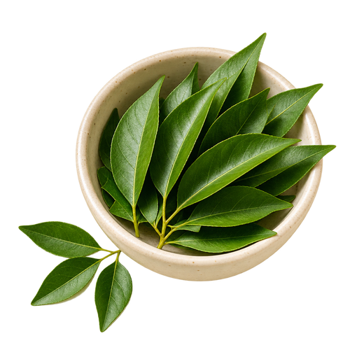 Curry Leaf